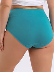 Women's Plus Size High Waisted Briefs 4-Pack