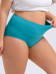 Women's Plus Size High Waisted Briefs 4-Pack