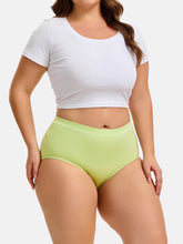 Women's Plus Size Briefs 4-Pack