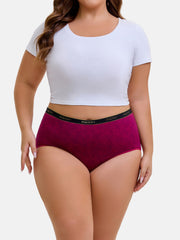 Women's Plus Size Briefs 5-Pack