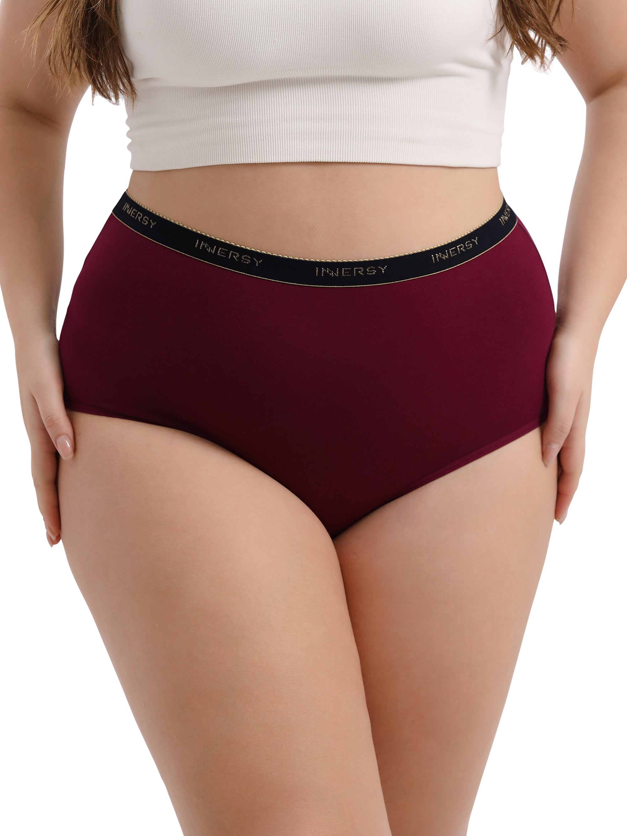 Women's Plus Size Briefs 5-Pack M-5XL