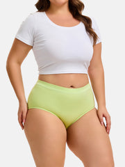 Women's Plus Size Briefs 4-Pack