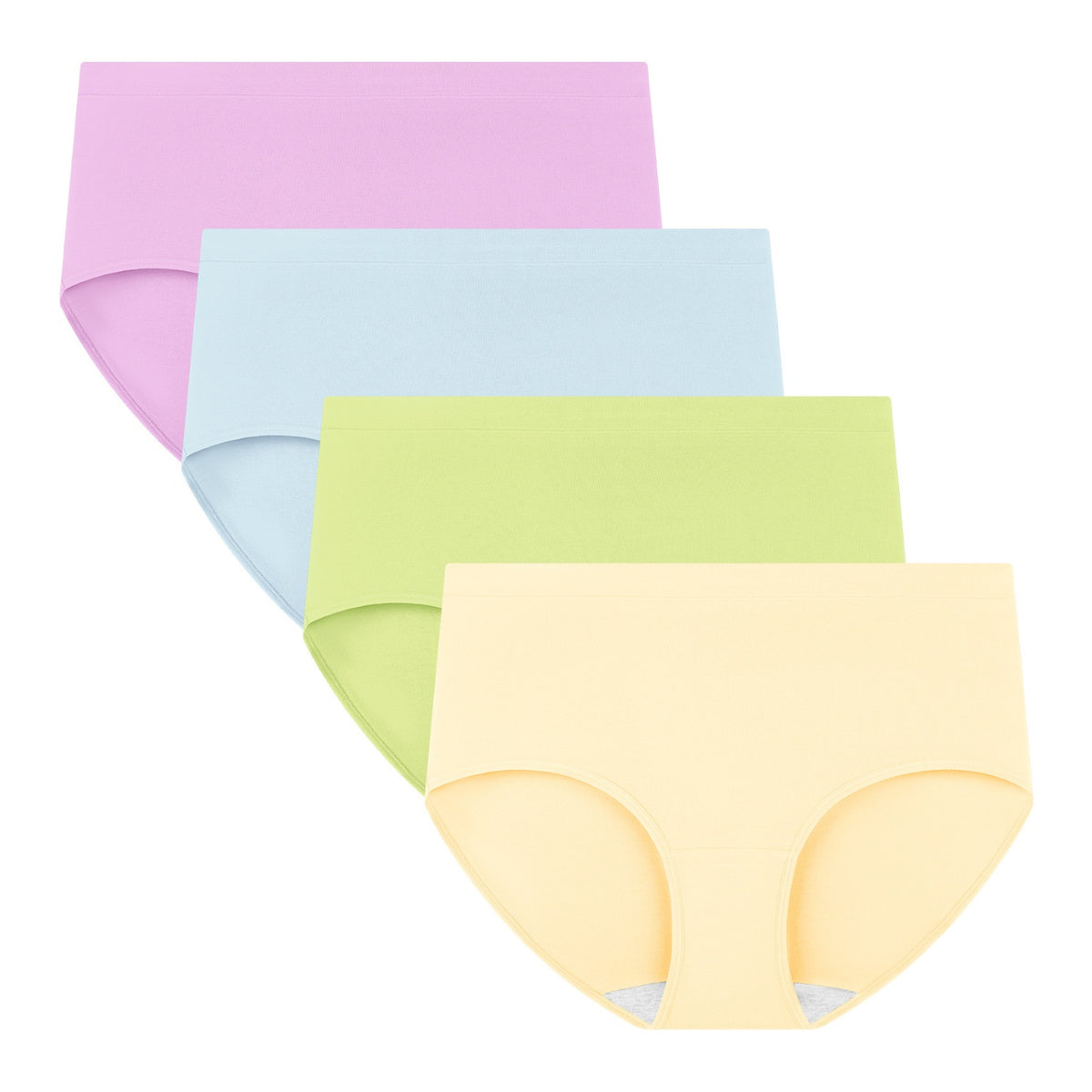 Women's Plus Size Briefs 4-Pack