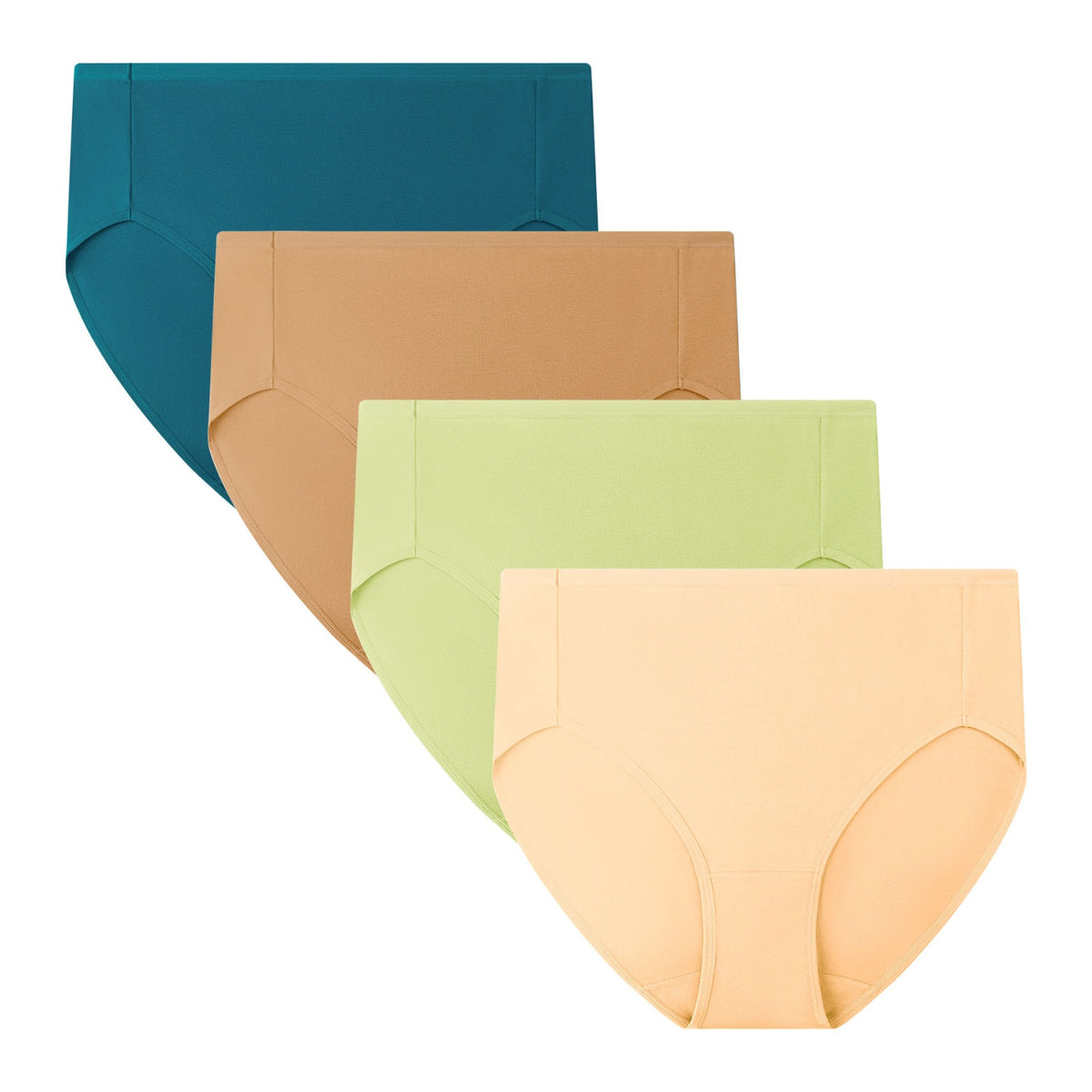 Women’s Plus Size High Cut Briefs 4-Pack