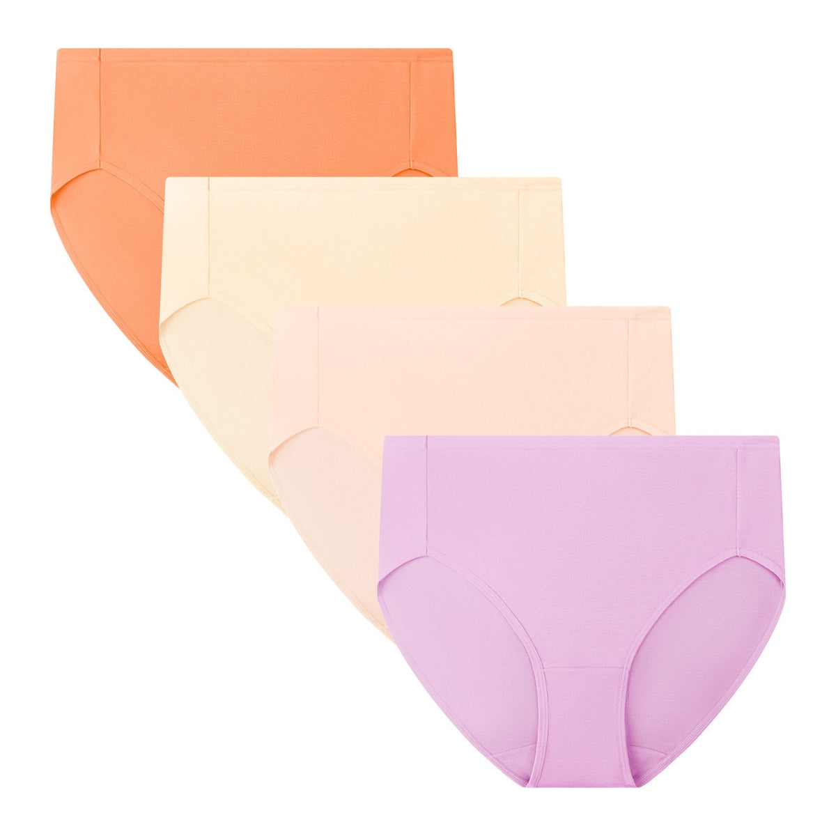 Women’s Plus Size High Cut Briefs 4-Pack