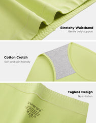 Women's Plus Size Briefs 4-Pack